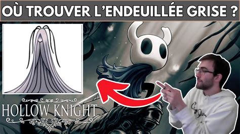hollow knight endeuillée grise